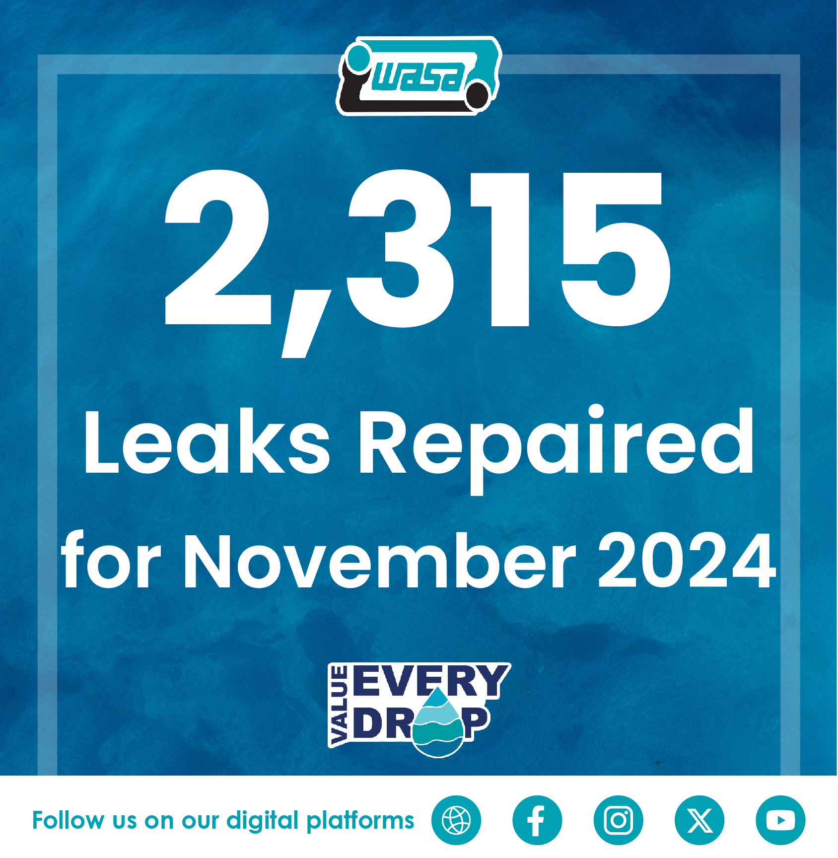 Leak Report 2024-November